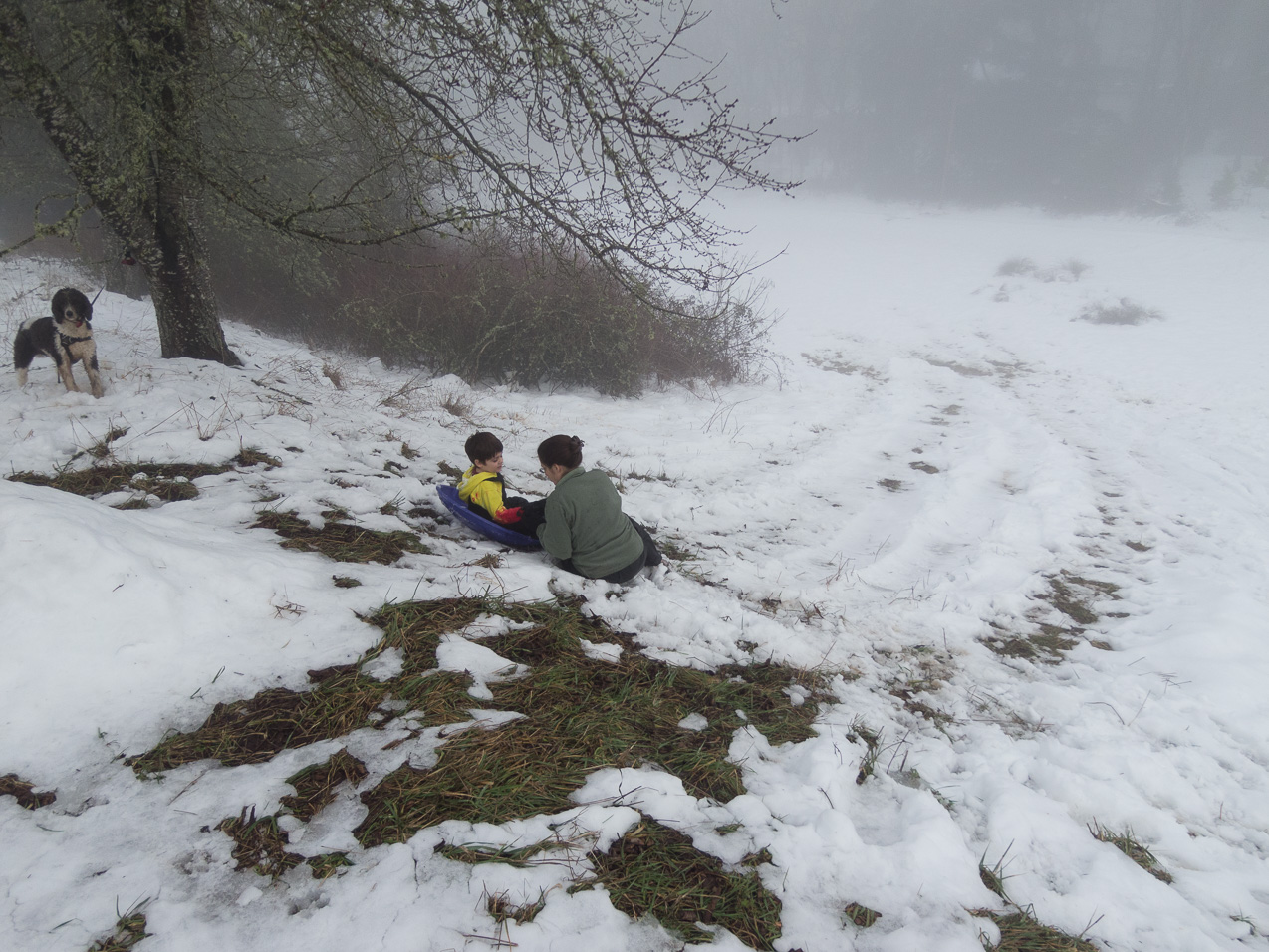  February 10, 2014 - 