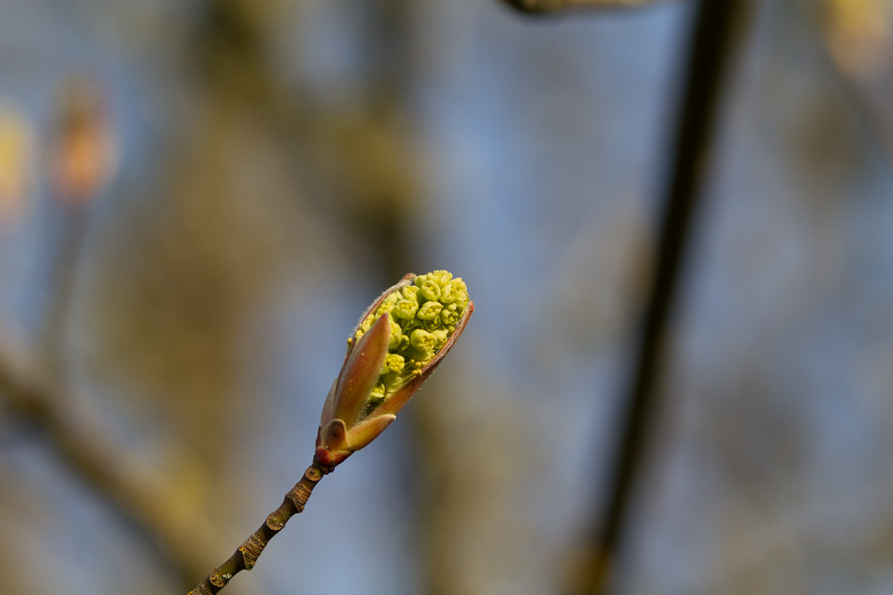  March 24, 2014 - 
