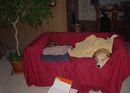 January 07, 2004