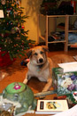 December 25, 2006