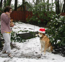 December 29, 2003
