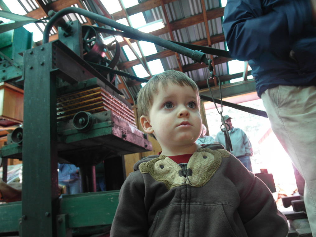 October 16, 2010 - Visiting the Antique Apple Orchard in Sweet Home, OR. We saw the 1914 apple grinder and press put to use.