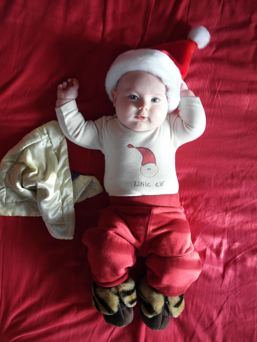 December 14, 2010 - 