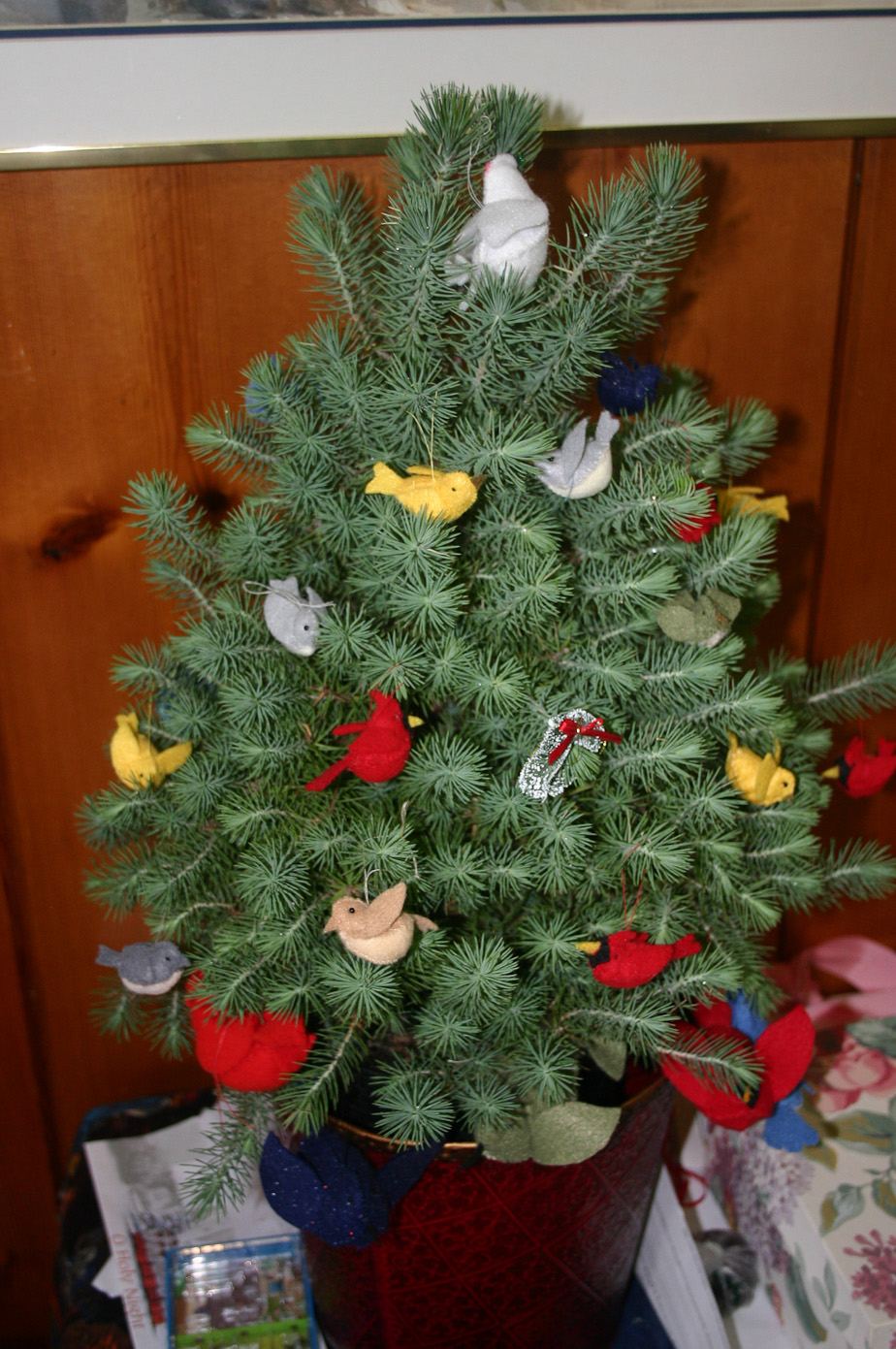December 24, 2010 - 