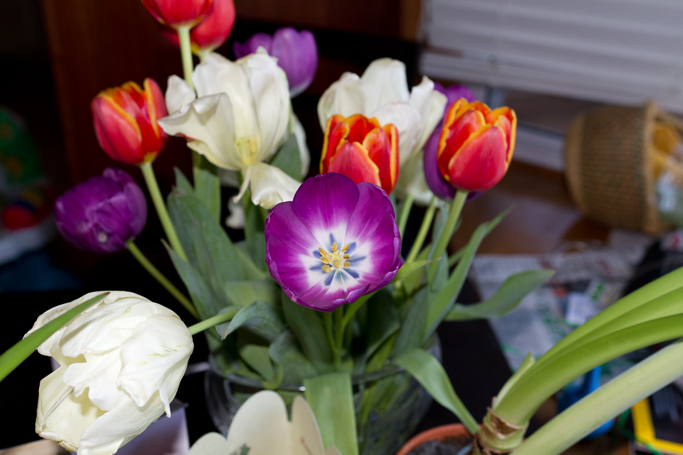 February 20, 2011 - 