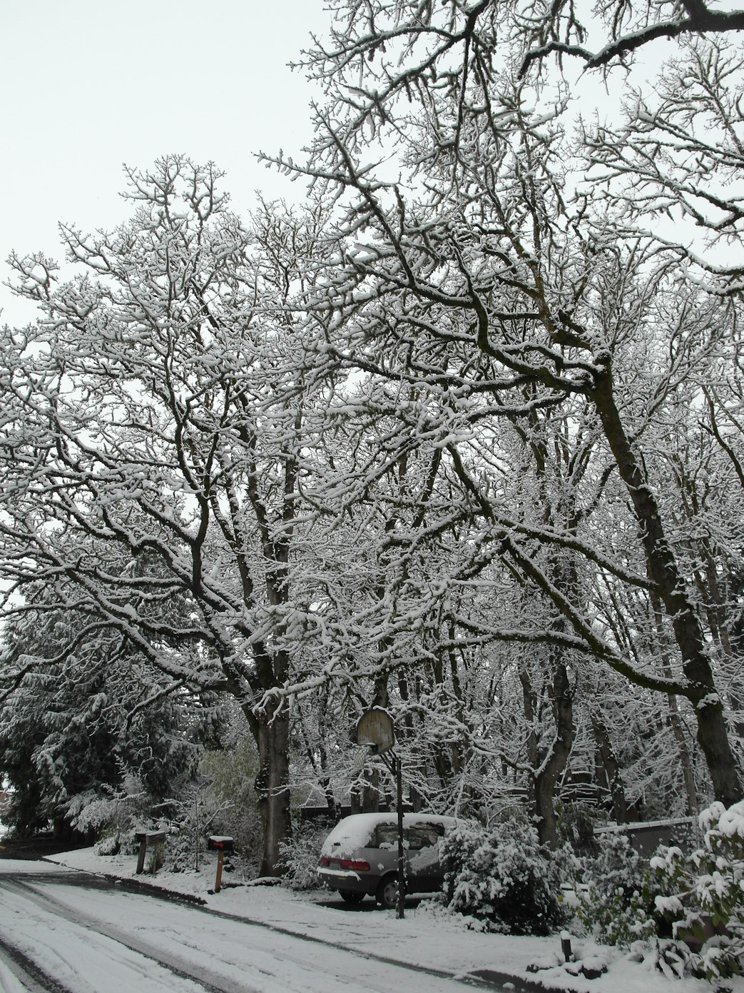 February 24, 2011 - 