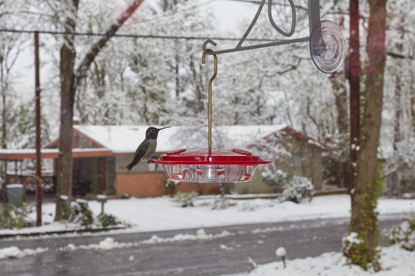 February 24, 2011 - 