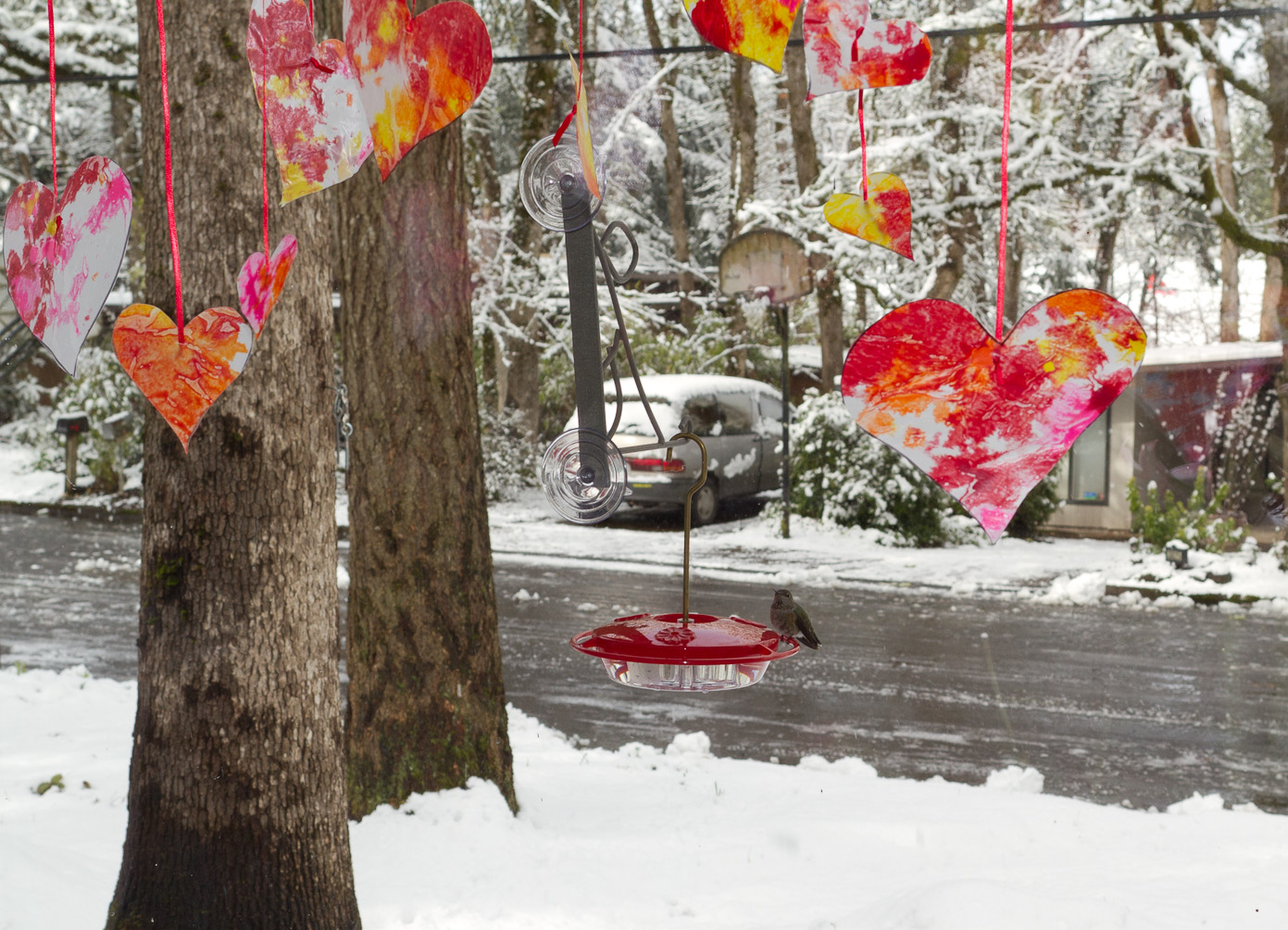 February 24, 2011 - 