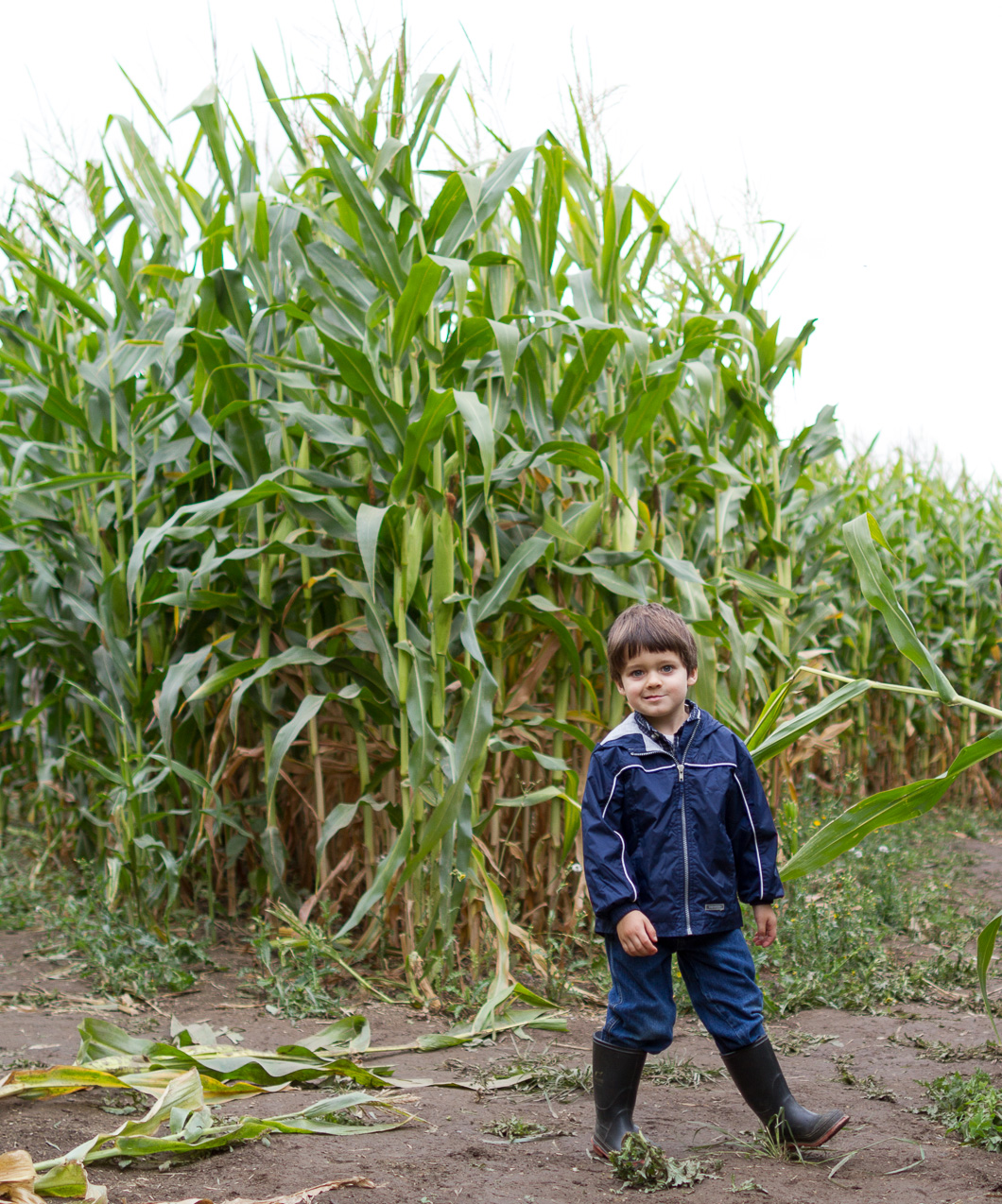  October 14, 2012 - Cornfield maze