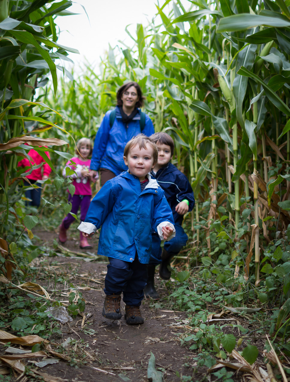  October 14, 2012 - Cornfield maze