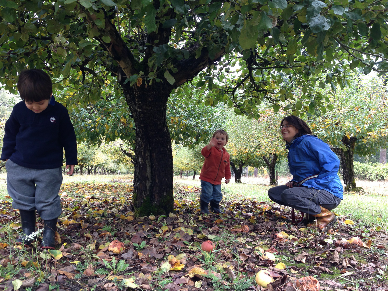  October 20, 2012 - Antique Apple Orchard, Sweet Home, OR.