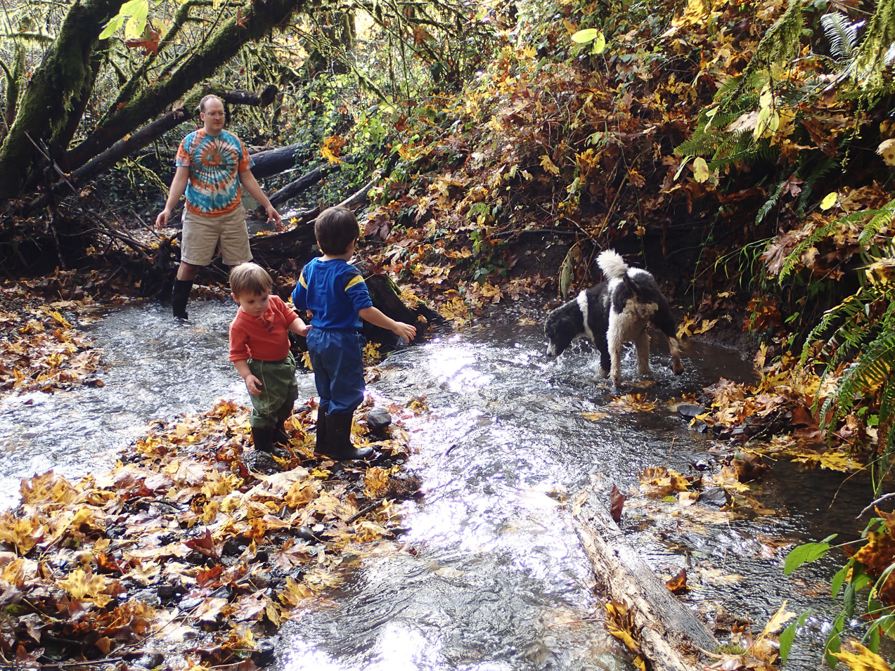  November 04, 2012 - Racing boat designs.