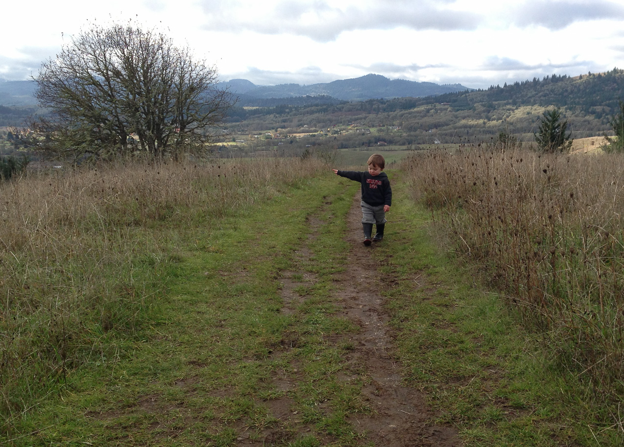  November 25, 2012 - Where? Over there... (top of Bald Hill)