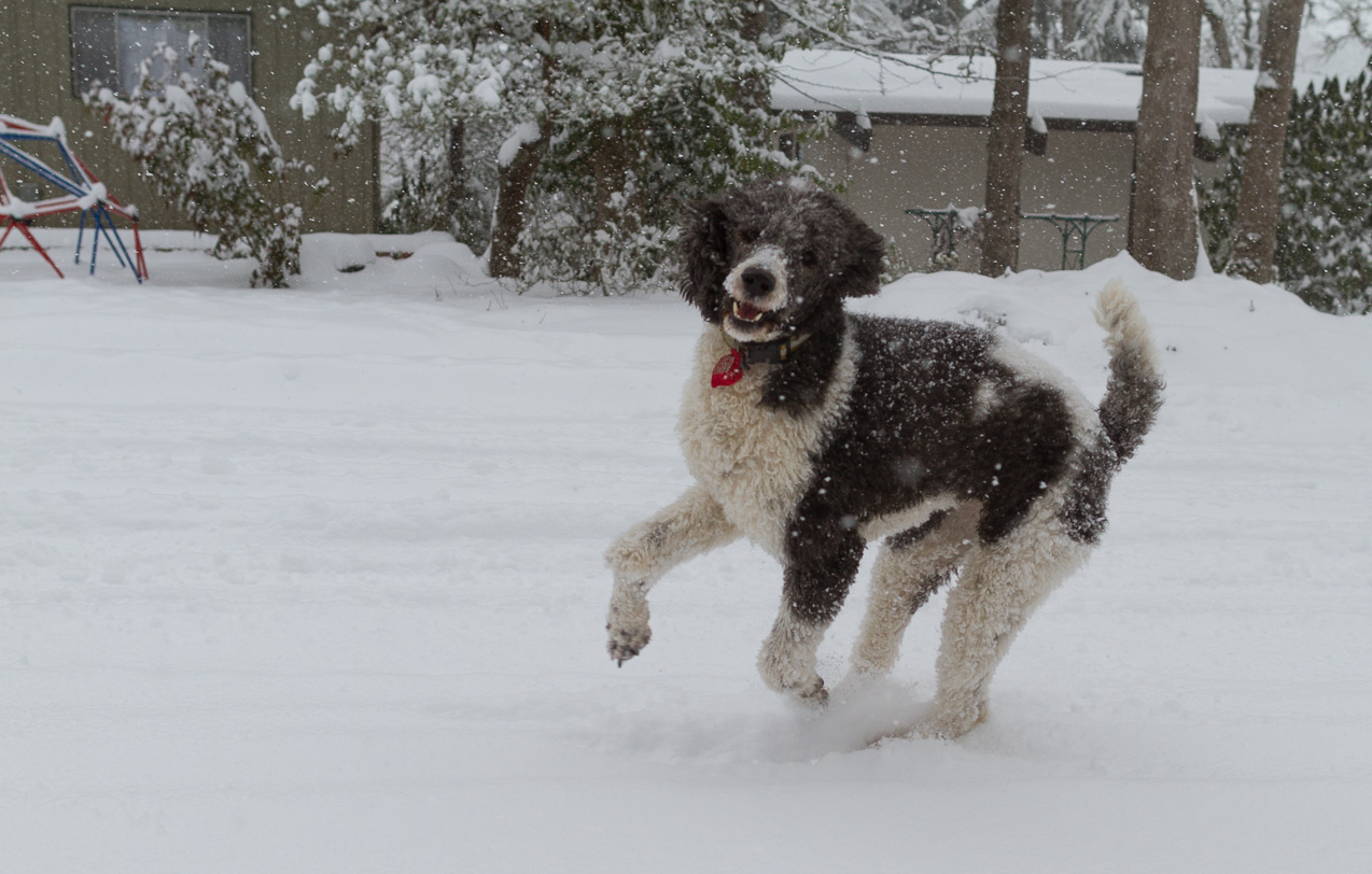  February 07, 2014 - 