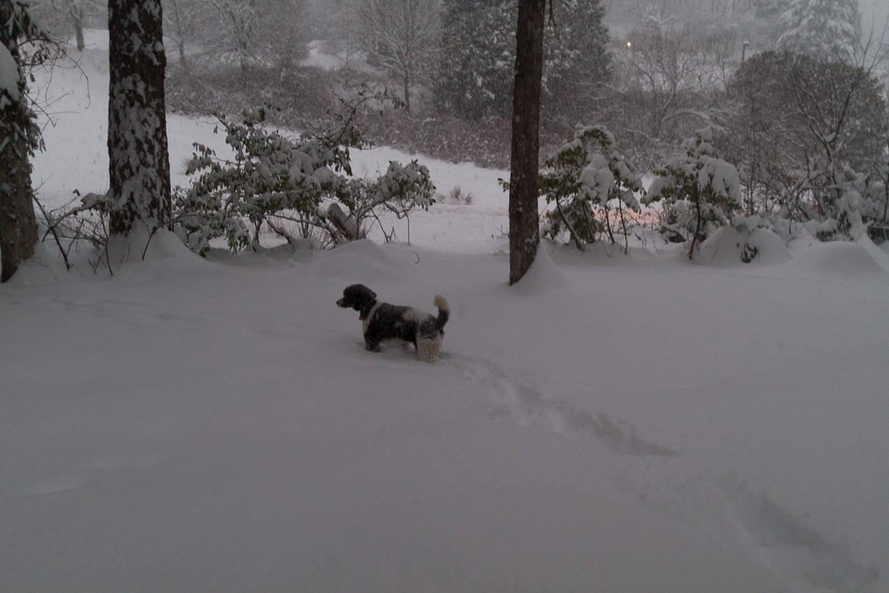  February 07, 2014 - 