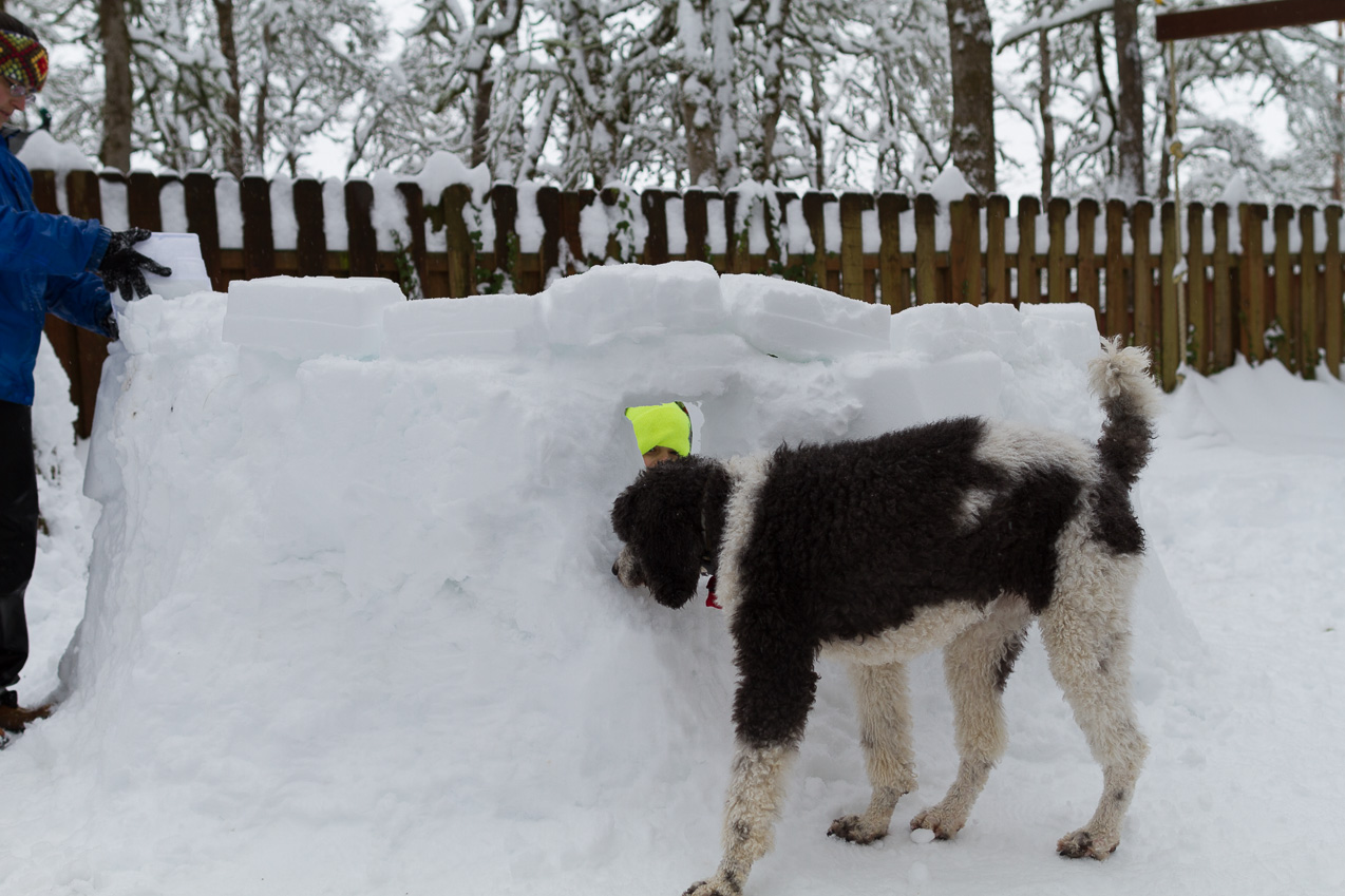  February 08, 2014 - 