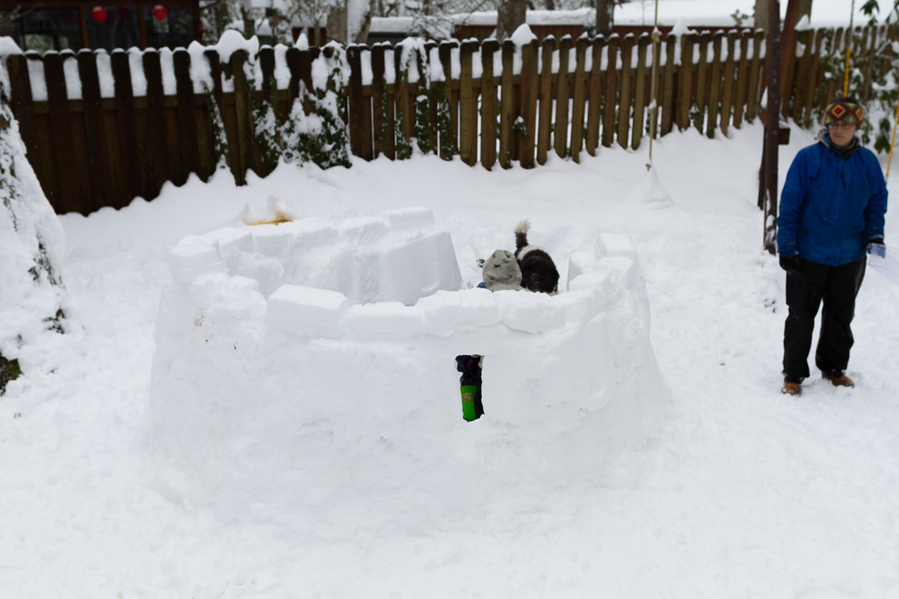  February 08, 2014 - 