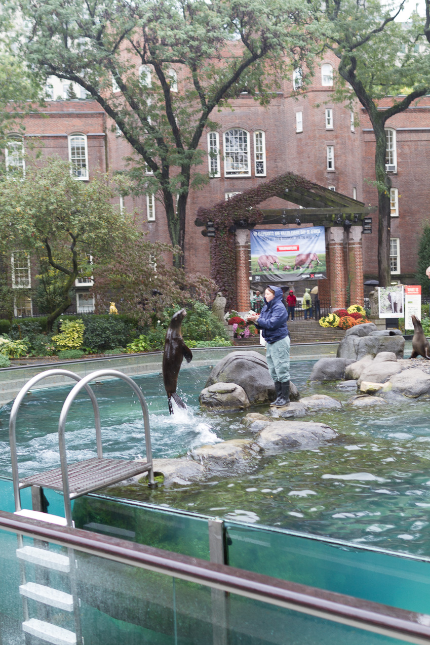  October 16, 2014 - NYC Central Park Zoo