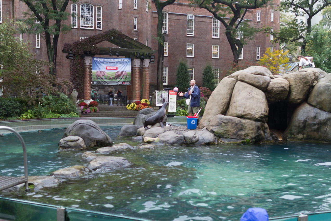  October 16, 2014 - NYC Central Park Zoo