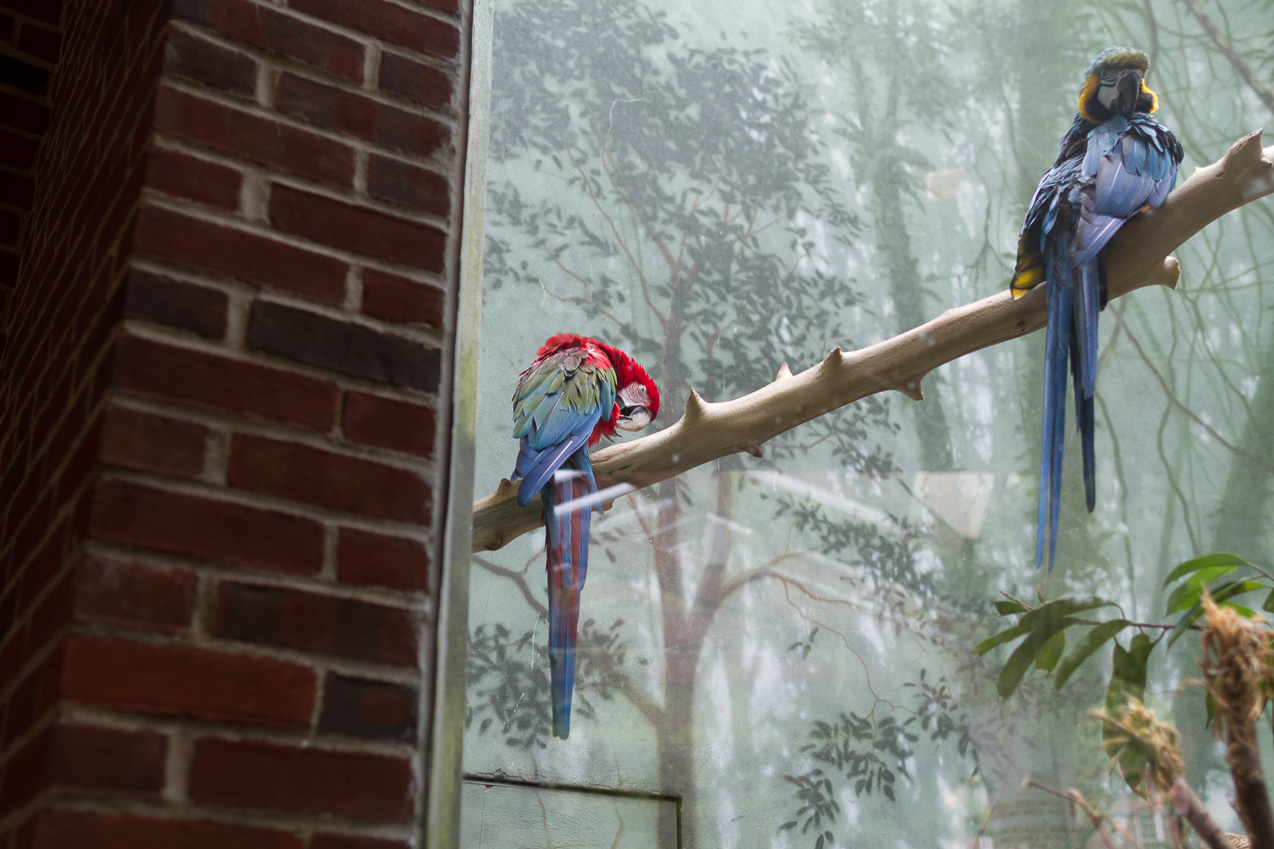  October 16, 2014 - NYC Central Park Zoo