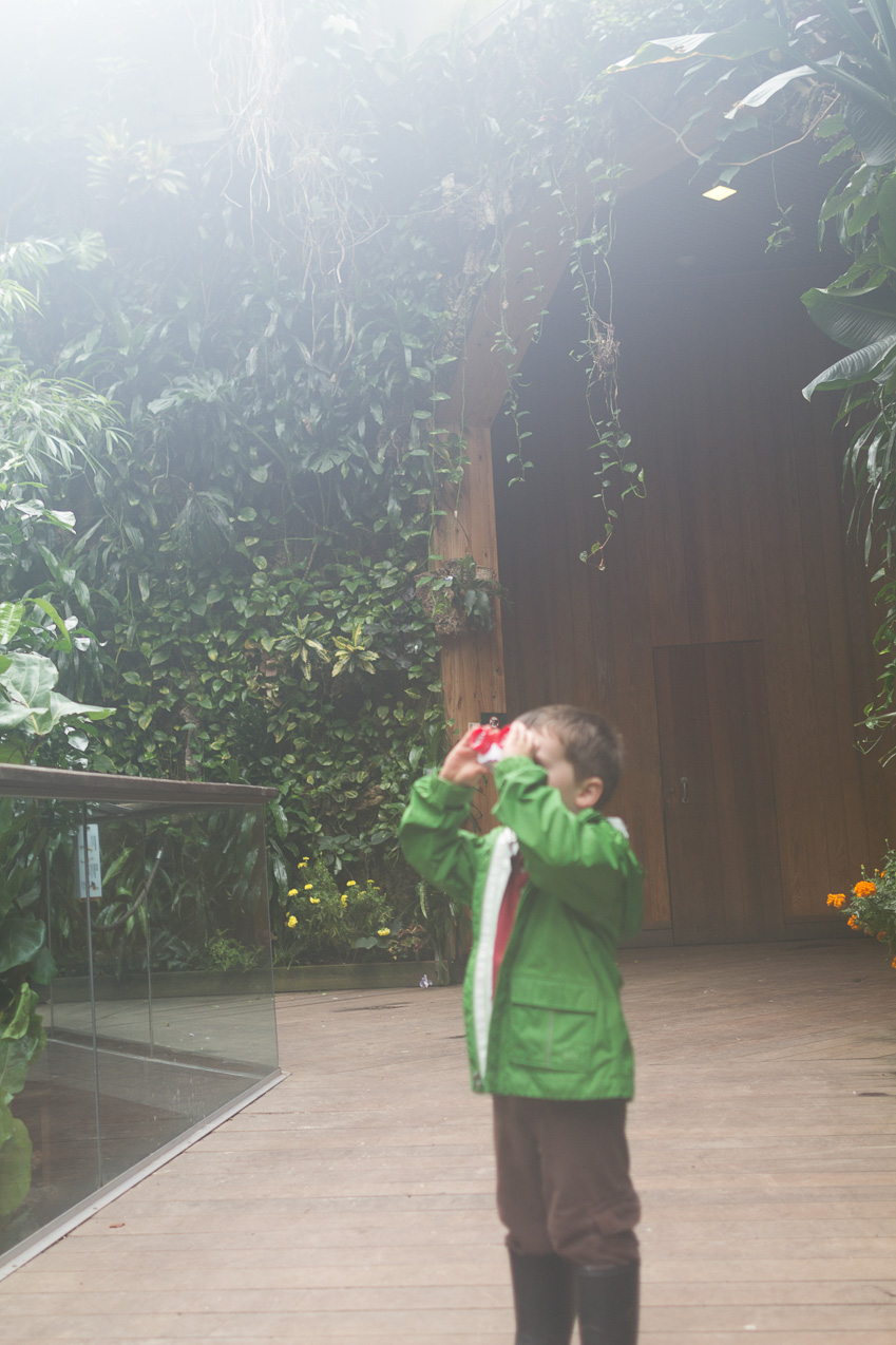  October 16, 2014 - NYC Central Park Zoo