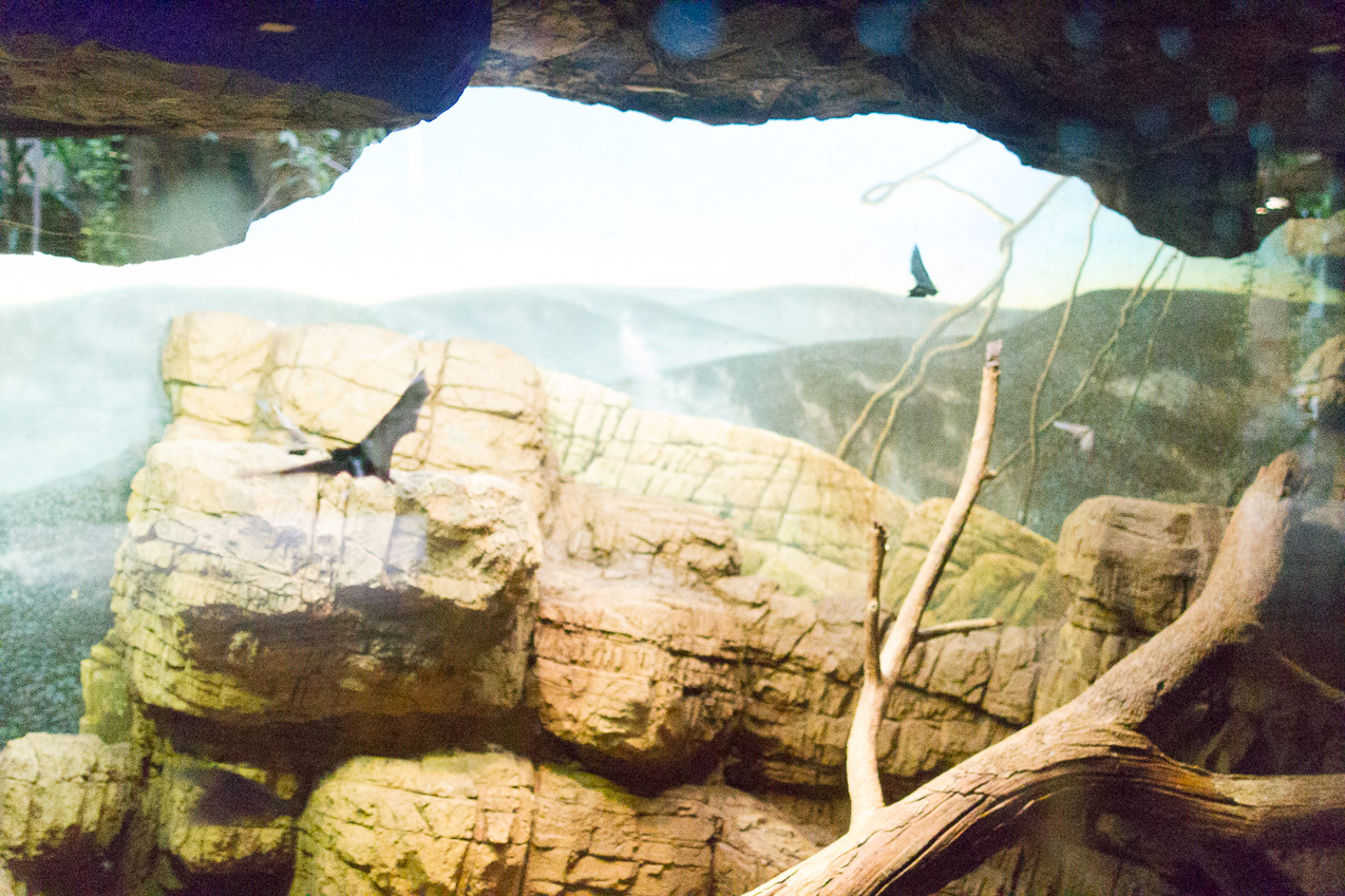  October 16, 2014 - NYC Central Park Zoo