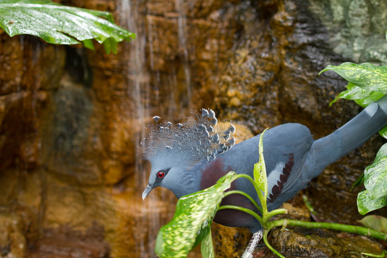  October 16, 2014 - NYC Central Park Zoo