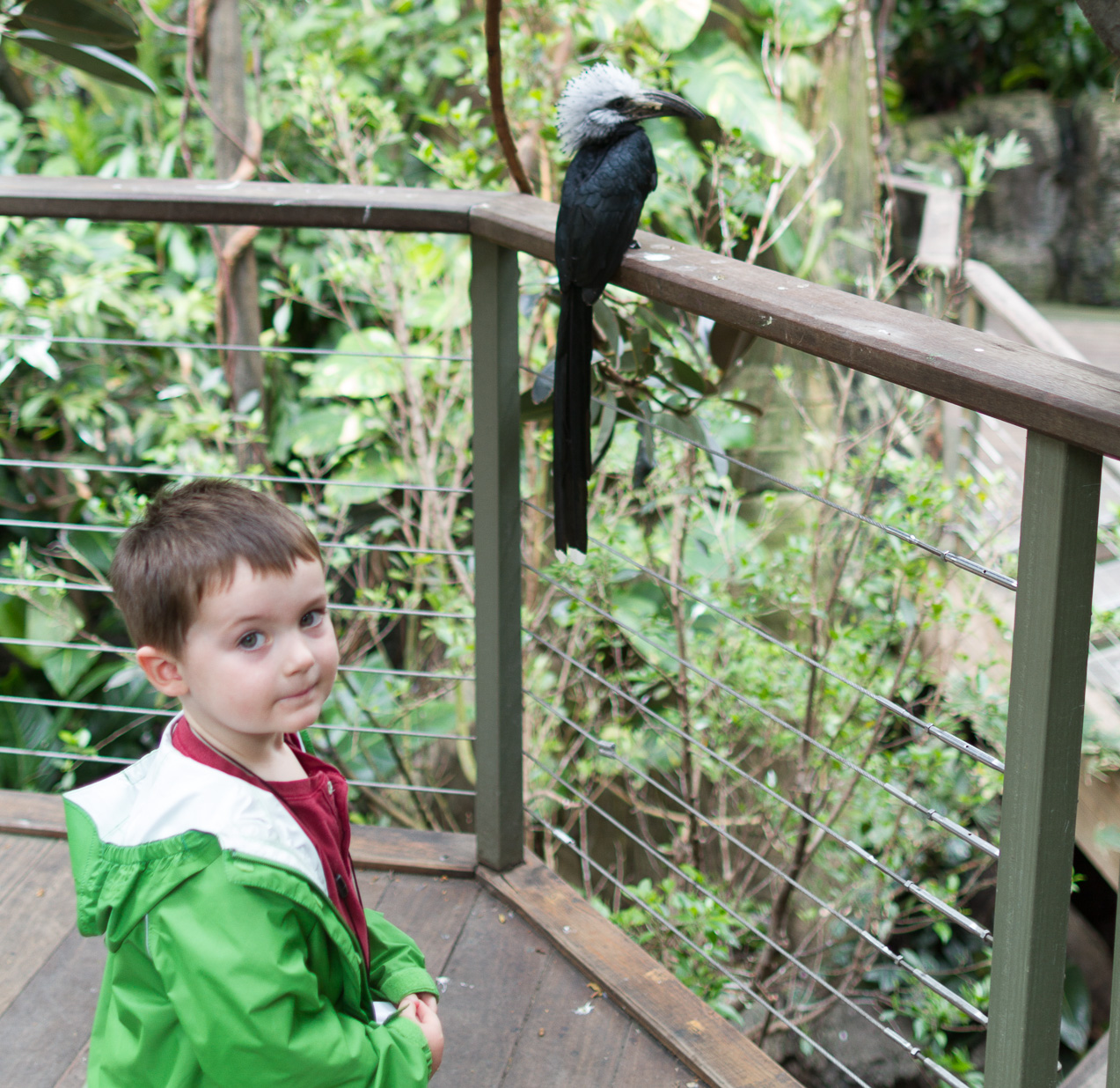  October 16, 2014 - NYC Central Park Zoo