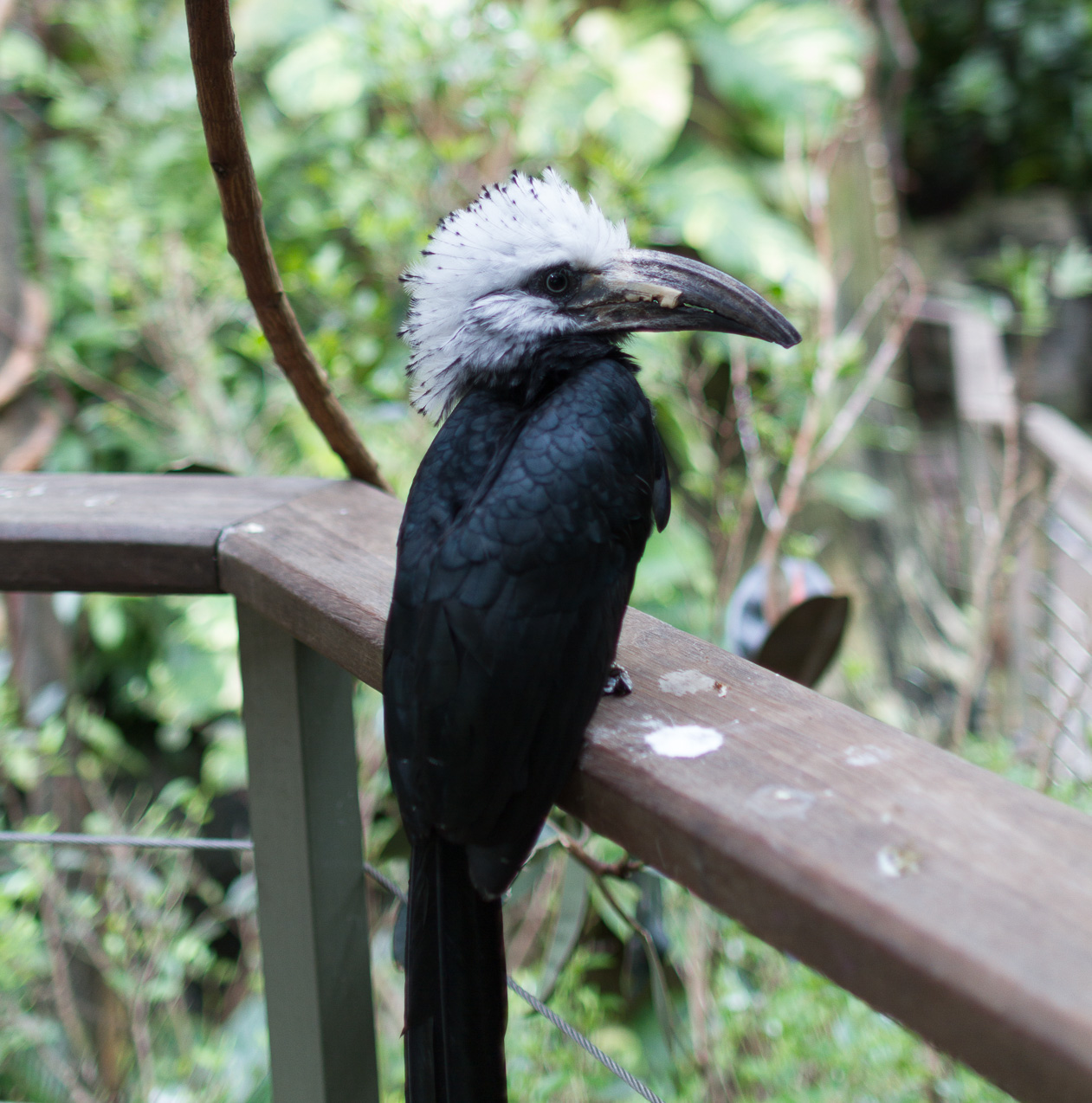 October 16, 2014 - NYC Central Park Zoo