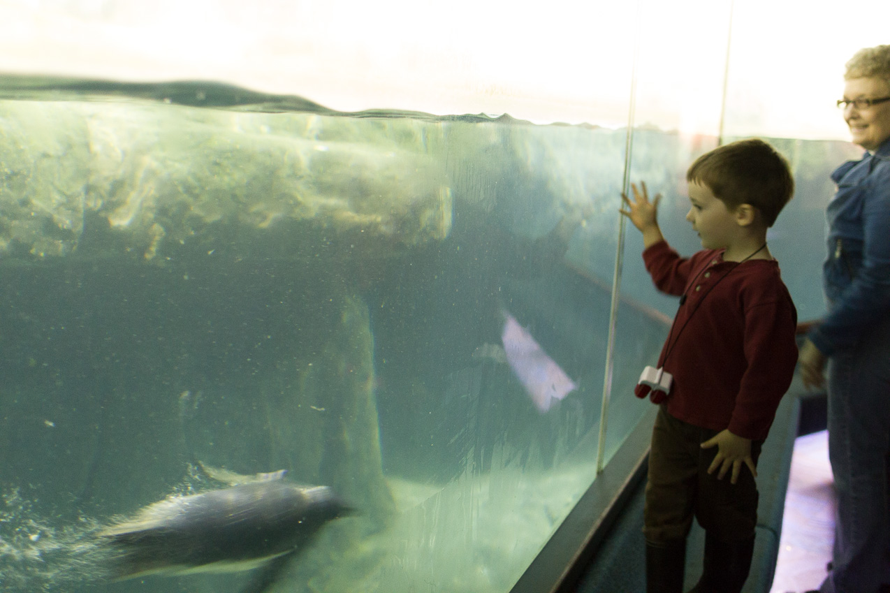  October 16, 2014 - NYC Central Park Zoo