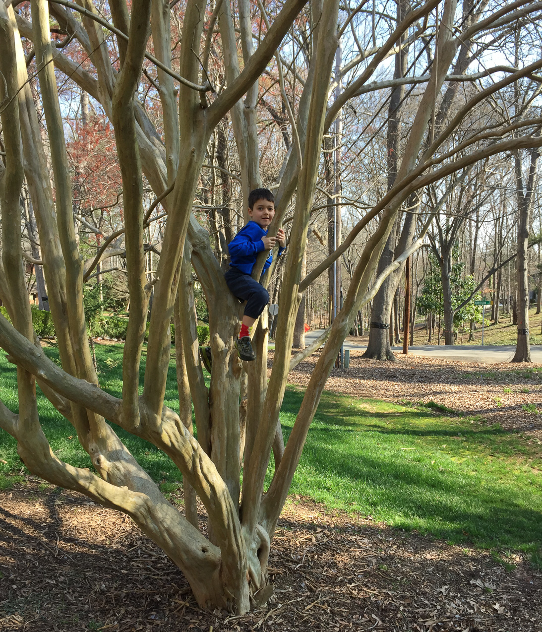  March 24, 2015 - 