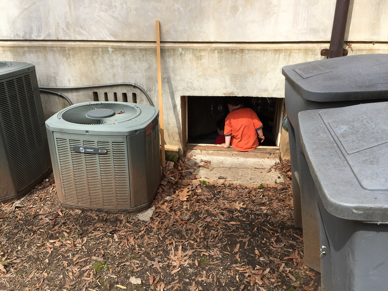  March 26, 2015 - More exploring (between sessions of hide & seek)