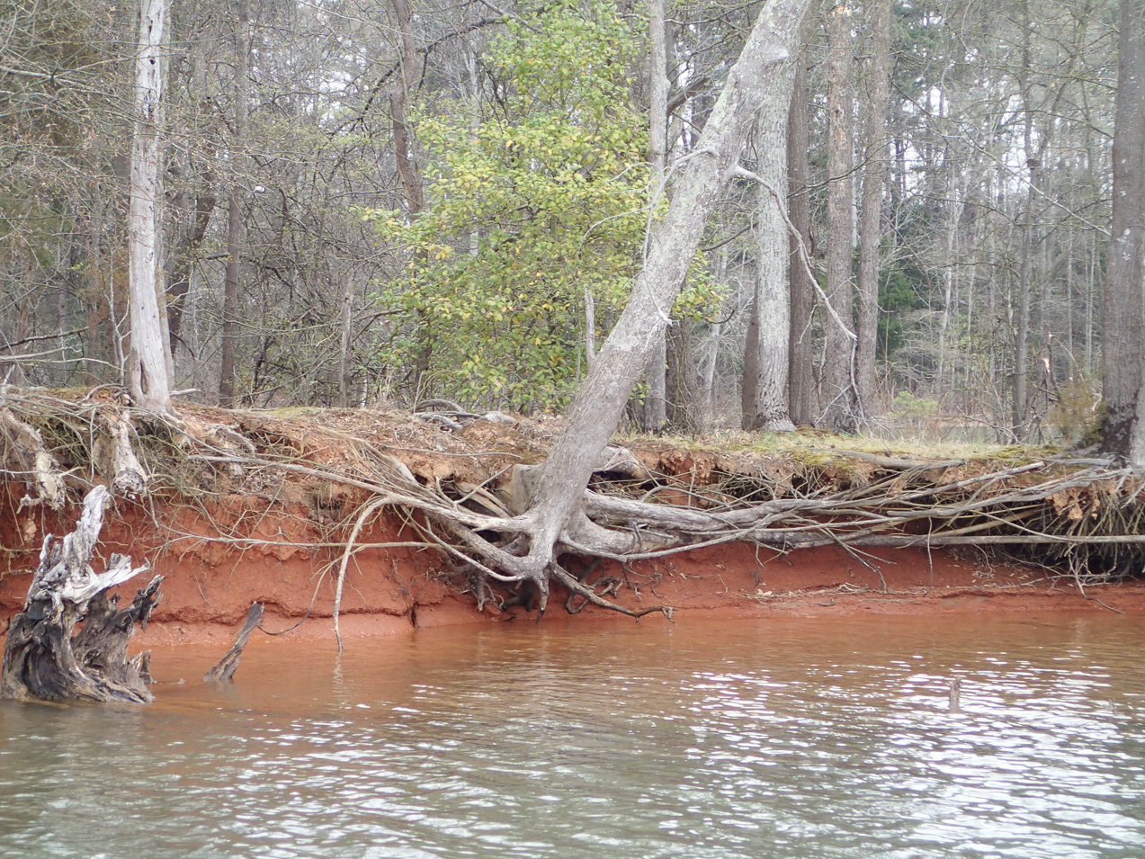  March 25, 2015 - OLYMPUS DIGITAL CAMERA