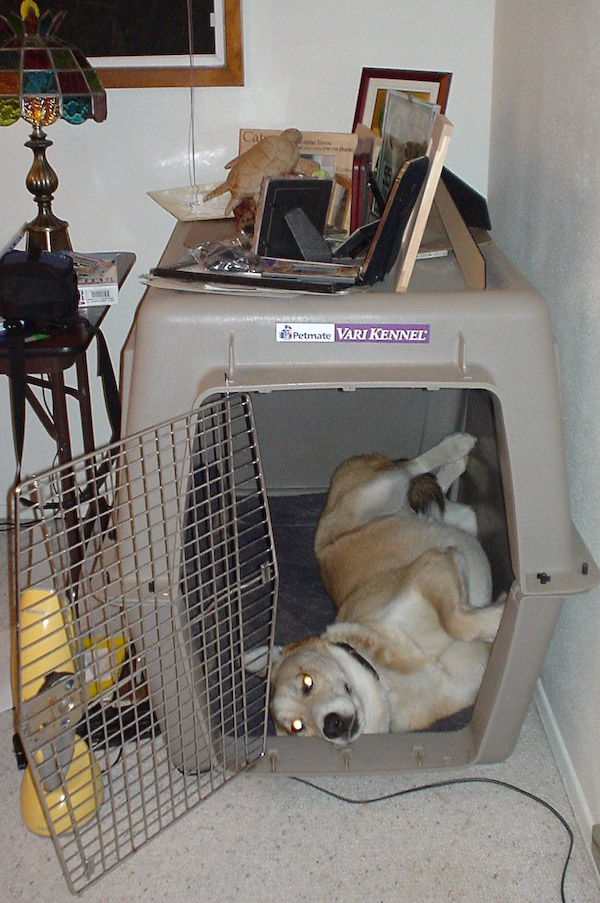 September 28, 2003