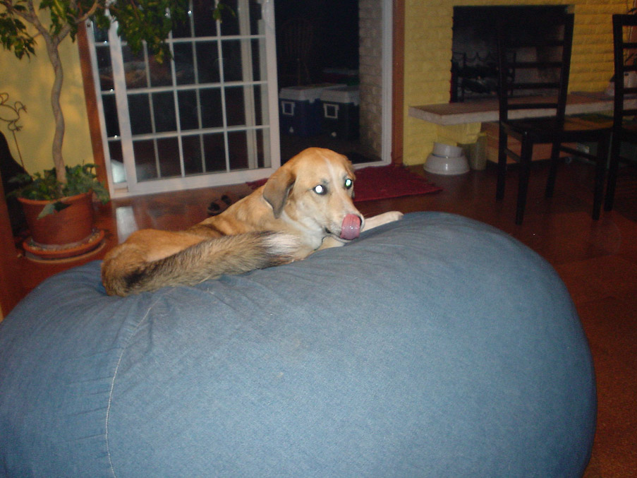 October 15, 2004