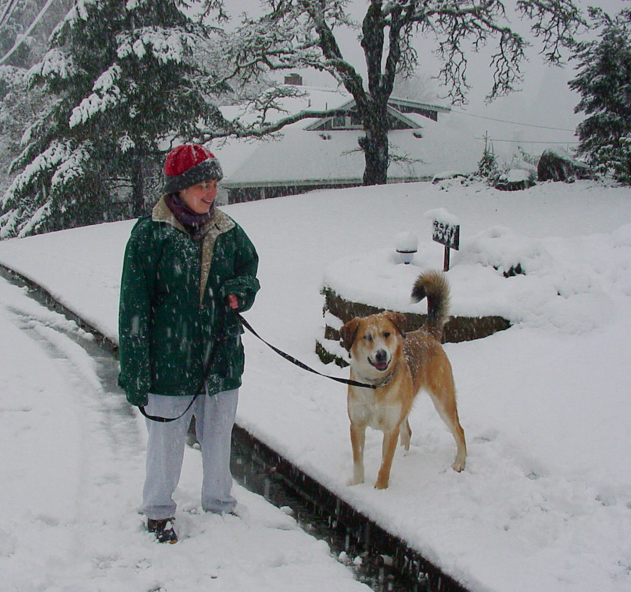 January 27, 2002