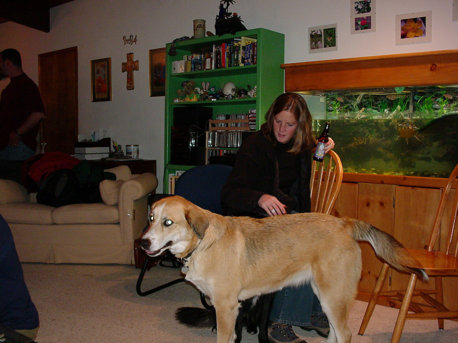 October 11, 2002