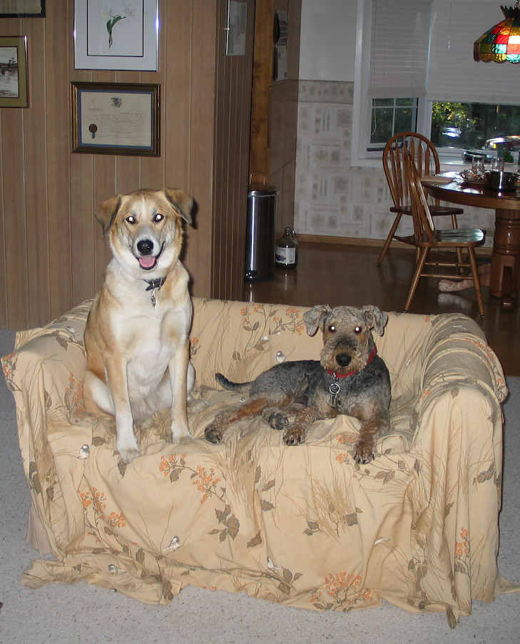 July 25, 2003