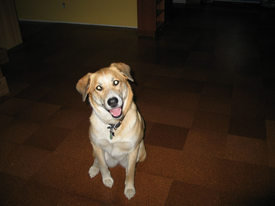 June 22, 2004