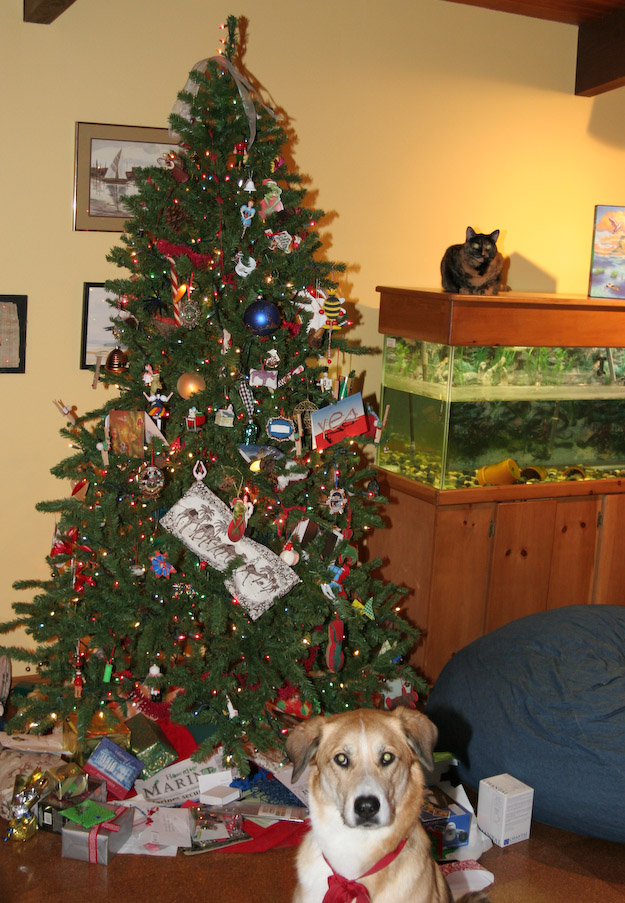 December 25, 2004